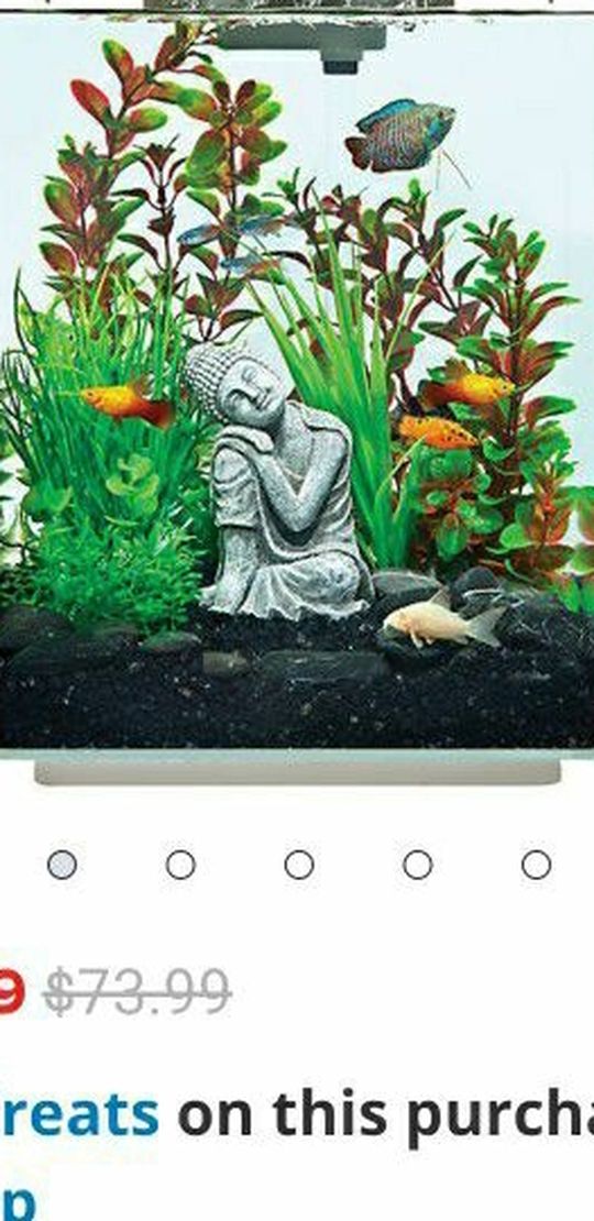 5 Gallon Fish Tank With Plant Gravel