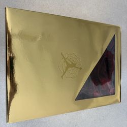 Teyana Taylor Concrete rose retro 3