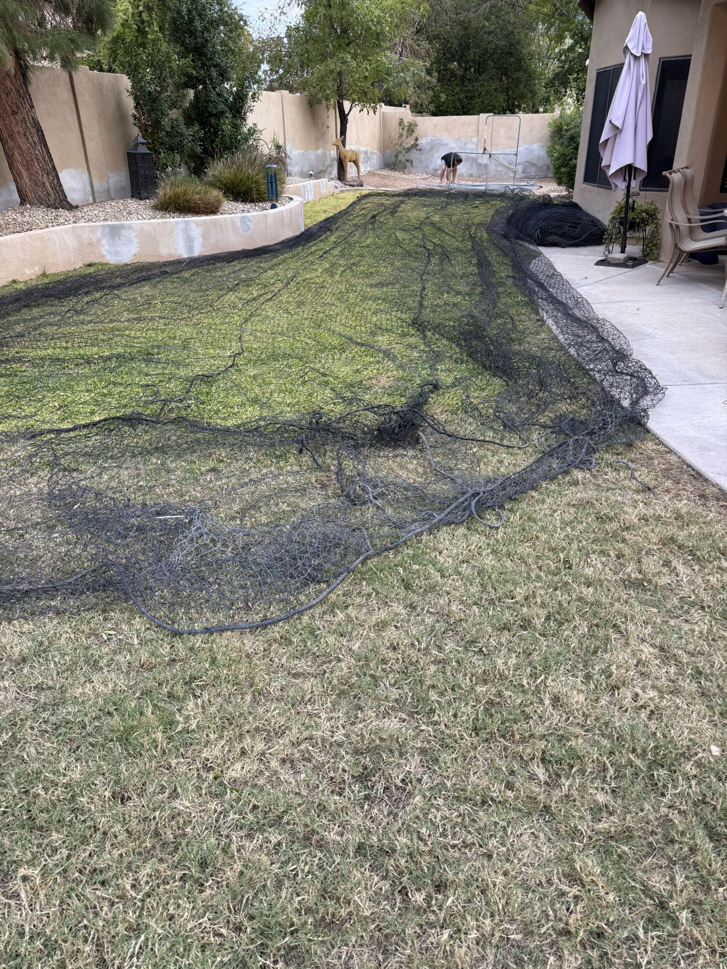 Batting Cage & L Screen