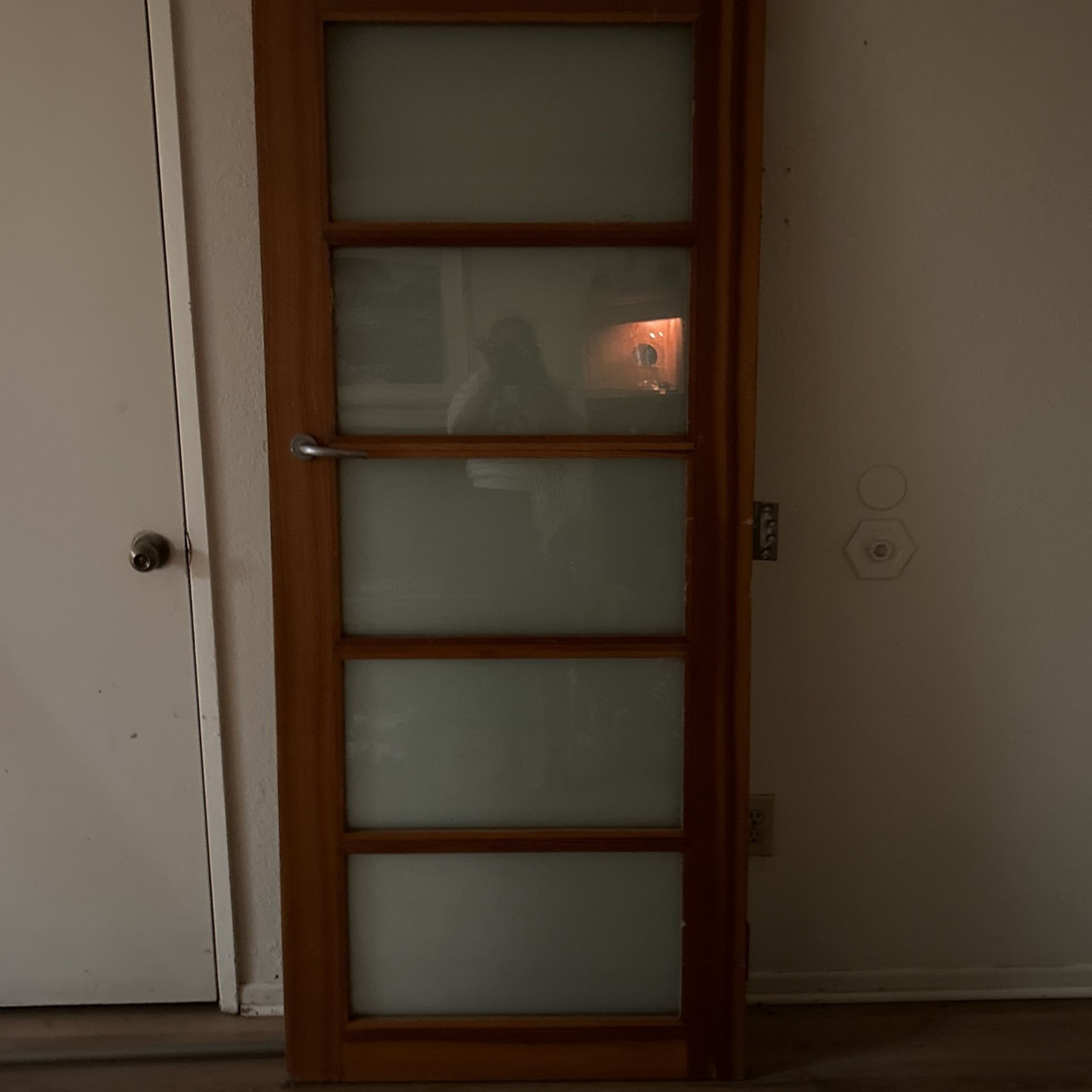 Wooden Frame Privacy Glass Door