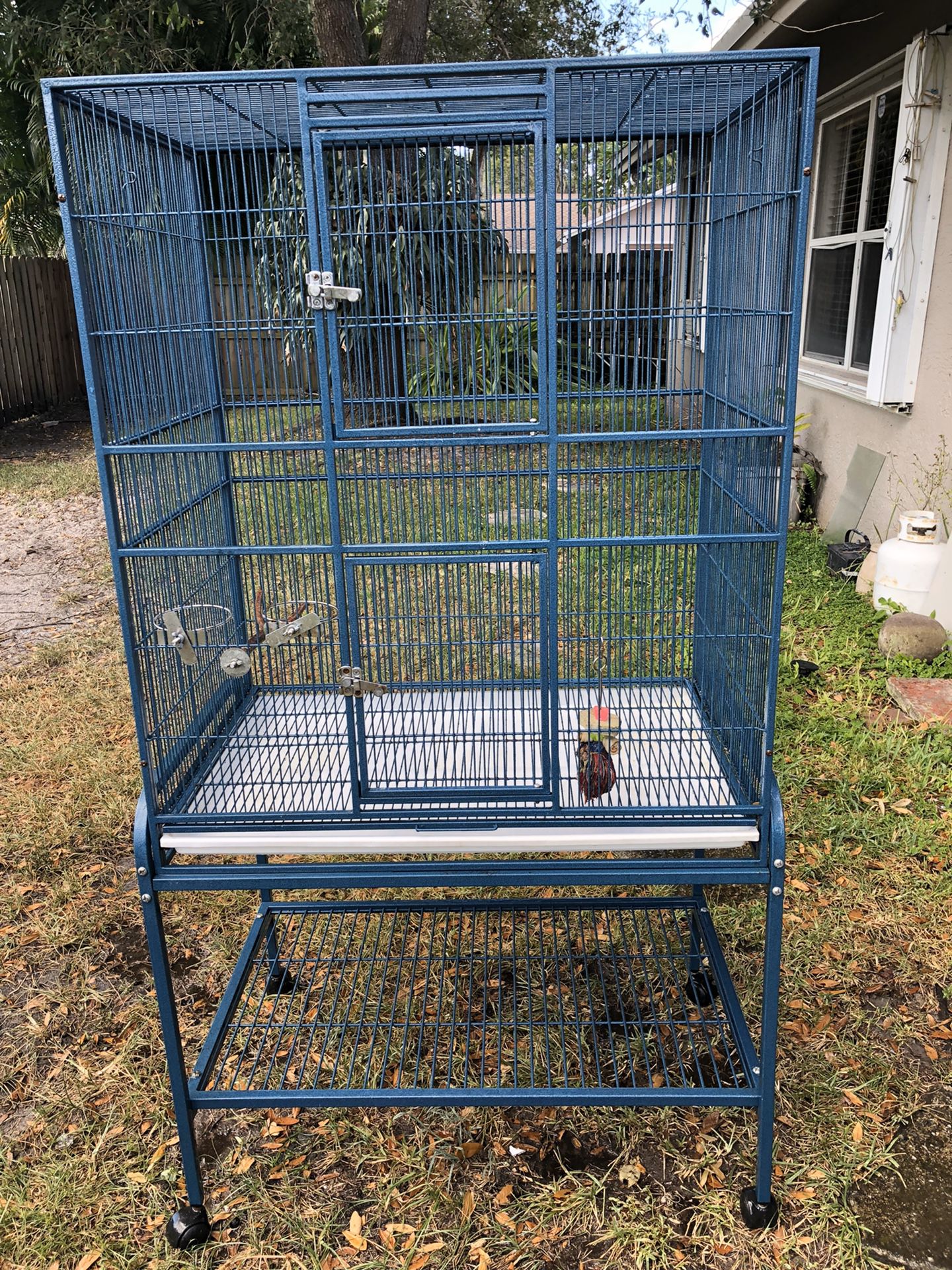 parrot birdcage