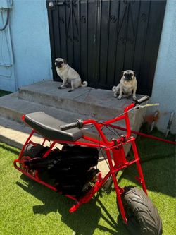 Mini bike