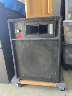 Fender 15 Inch Speaker