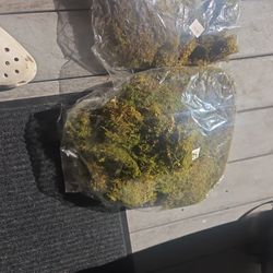 fake moss 2 bags 5$ for both 
