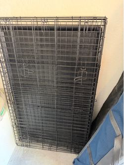 Xl dog kennel
