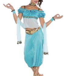 Disney Princess Jasmine Adult Women's Halloween Costume - Size Small (2-4)