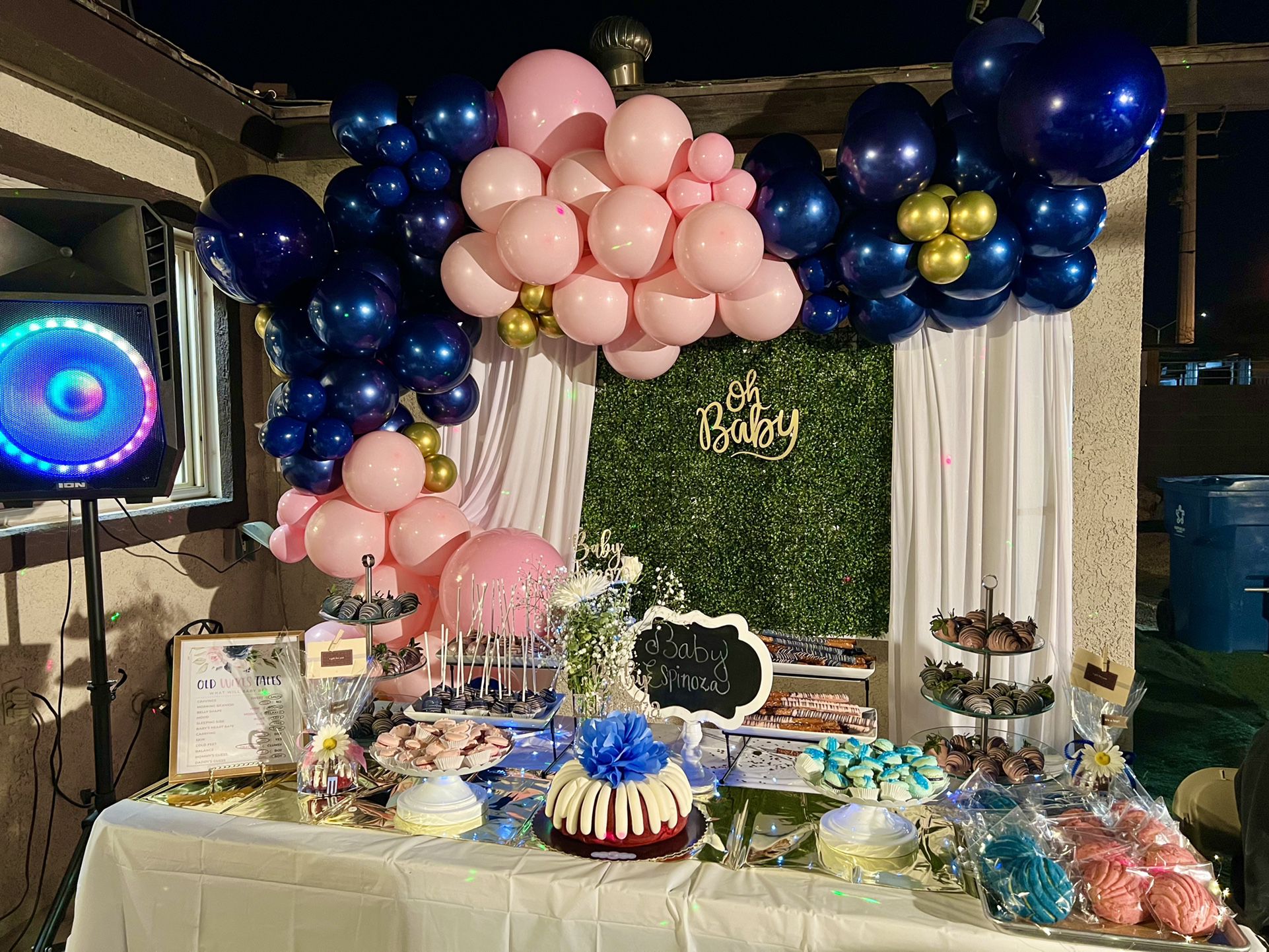 Gender Reveal & Party Decor