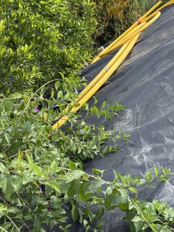 Free Gas Line Tubing