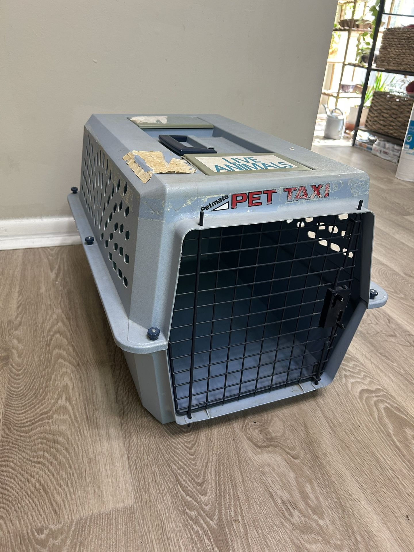 Cat Carrier 
