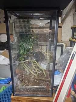 Custom 40g Terrarium / Reptile Enclosure