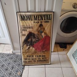 Bullfighter Poster Framed