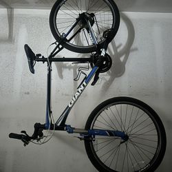 Giant Revel Bike 
