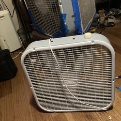 standard 20in box fan