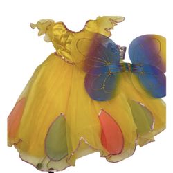 Butterfly Girl Costume Large 10-12