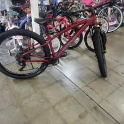 Schwinn  Mountain  29,,Aluminum Bike Original 