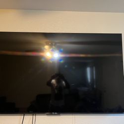 65 In Roku Smart Tv 