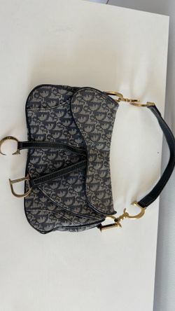 Dior Double Saddle Bag