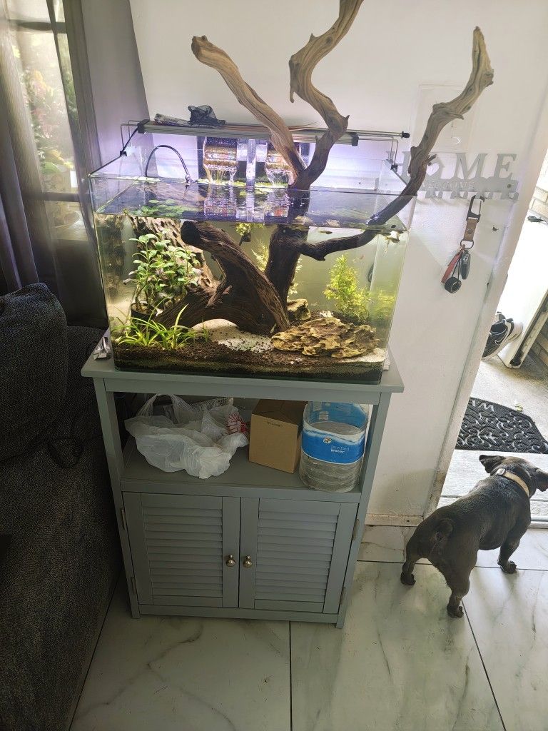 20 Gallon Fish Tank