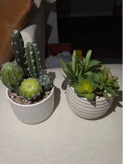 2 Fake Home Office Plants