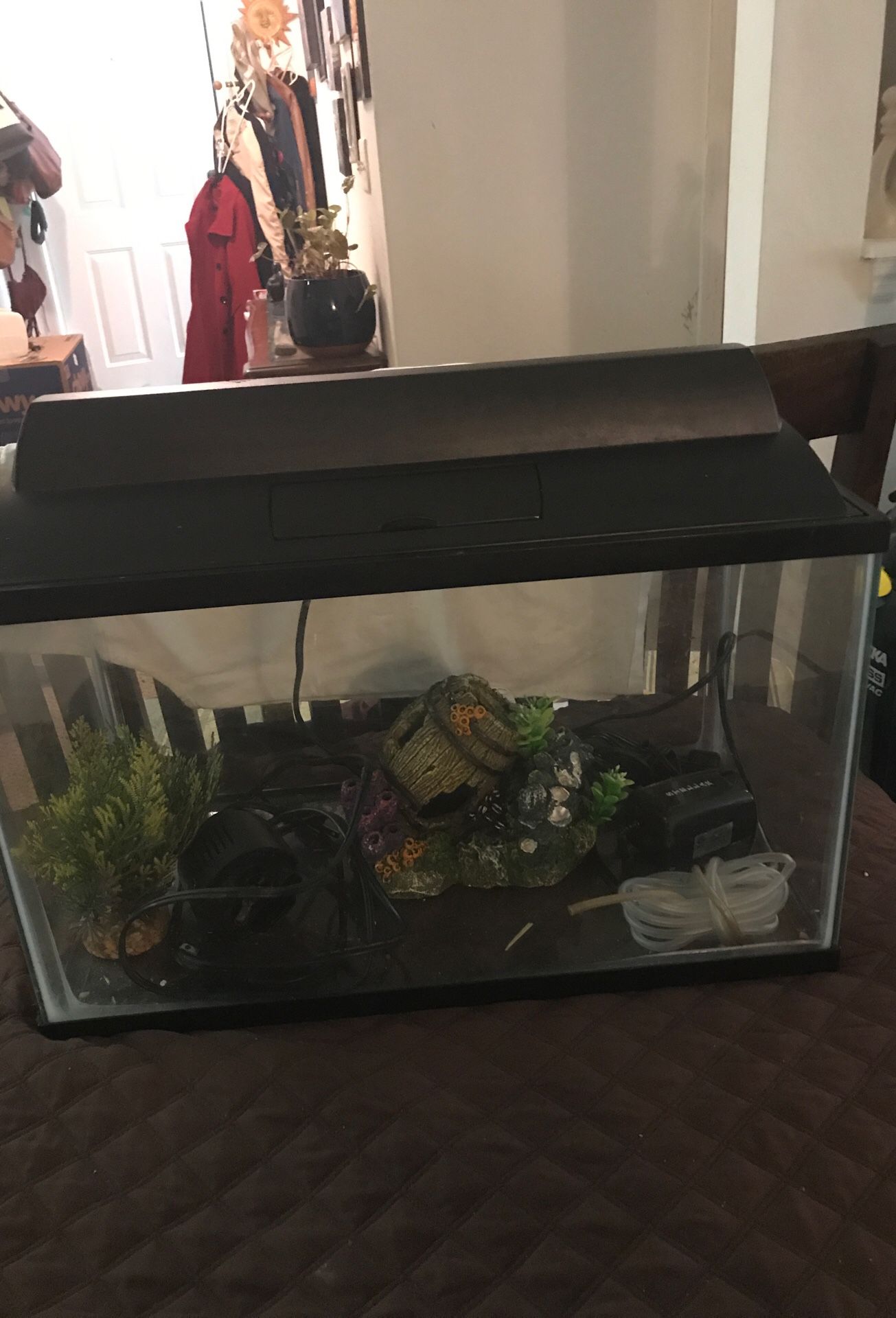 10 gallon fish tank with air pump and accessories