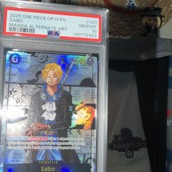 One Piece manga Op 13