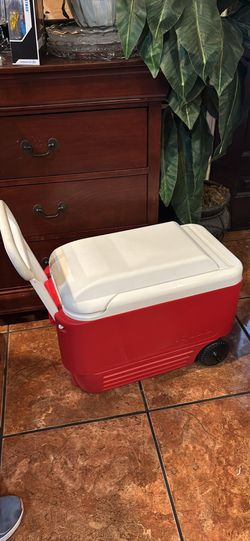 Igloo cooler