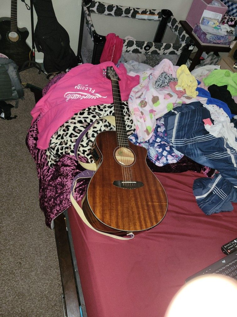Breedlove Acoustic/electric Guitar