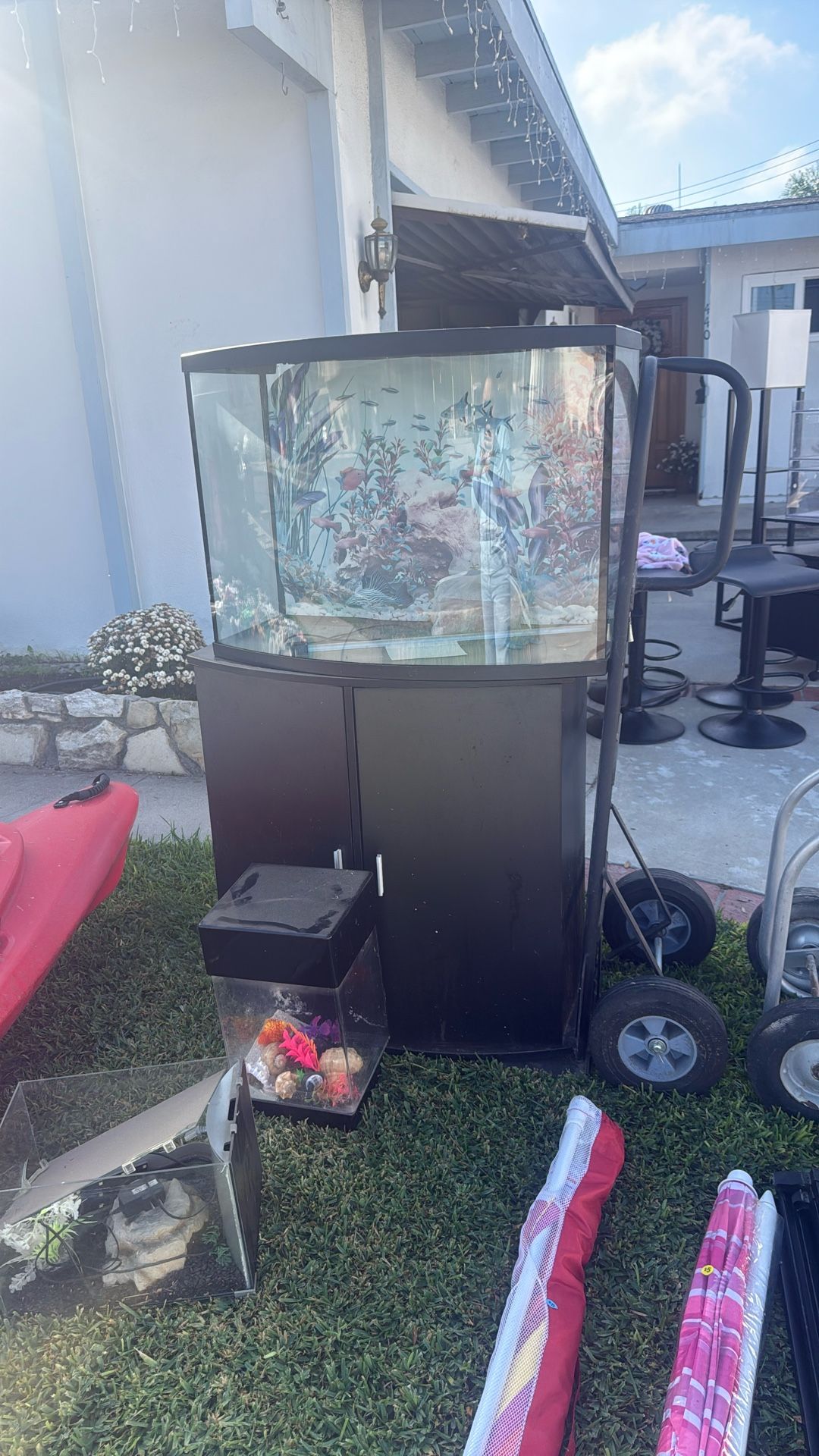 Fish tank