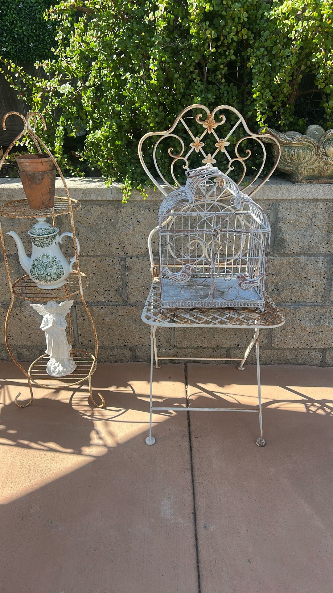 Bird Cage