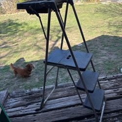 Step Stool