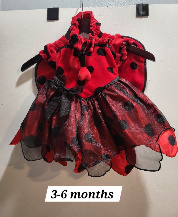 Ladybag Costume Dress