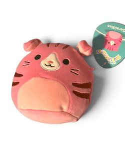Squishmallows “Geraldine” – Pink Tabby Cat Plush NWT 5’