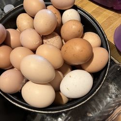 Eggs (chicks)