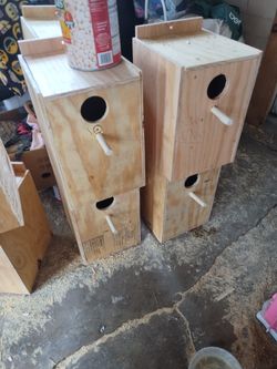 Nidos Para Pájaros Grandes
