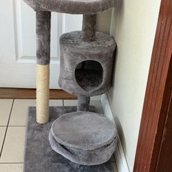 Cat Scratching Post