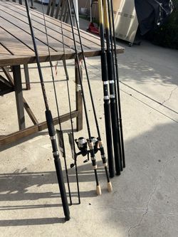 New Fishing Rods  🎣 