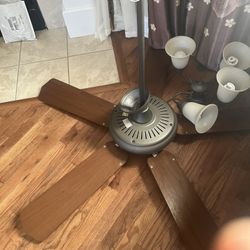 Big Fan With Light 