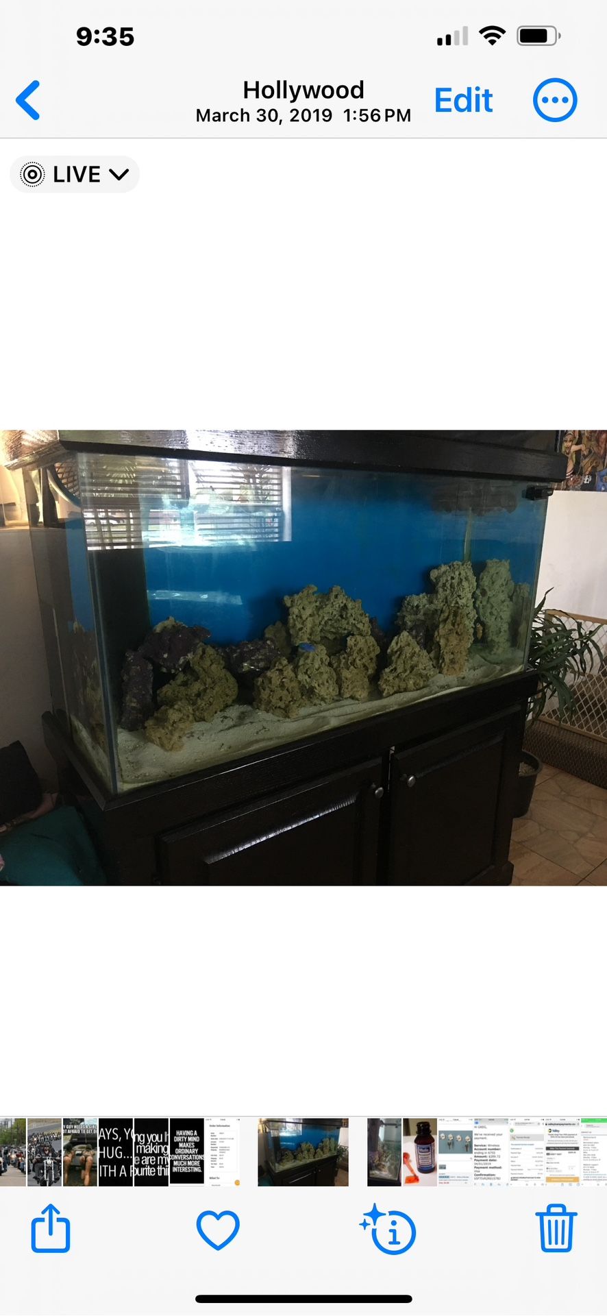 90+ Gallon Drilled Fish Tank And Wet/dry Sump 