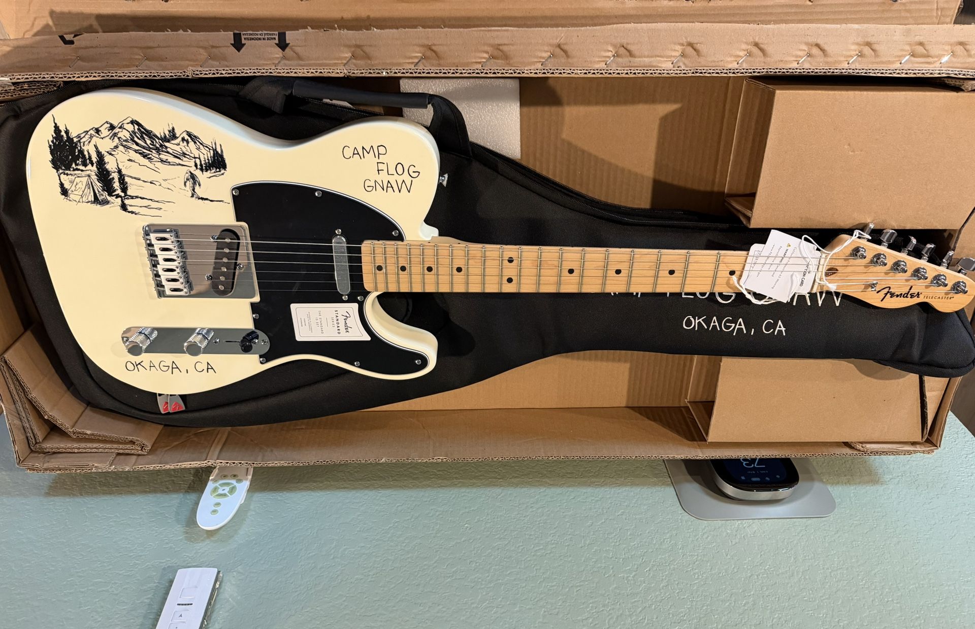 2025 Camp Flog Gnaw Fender Guitar Tyler The Creator