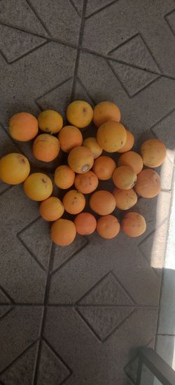 Oranges. Pure natural organic home grown
