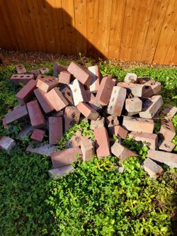 Free various bricks