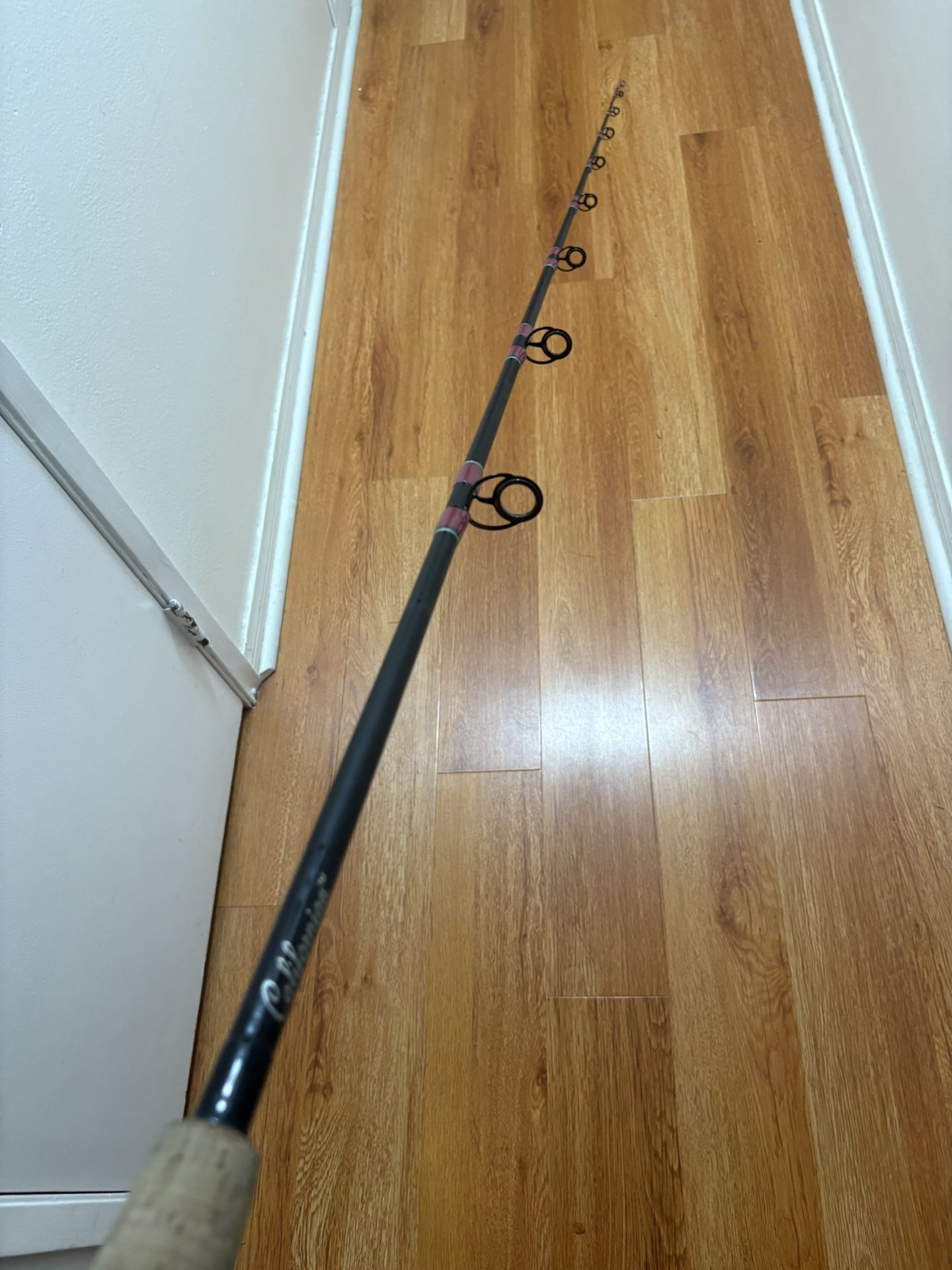 Fishing Rod