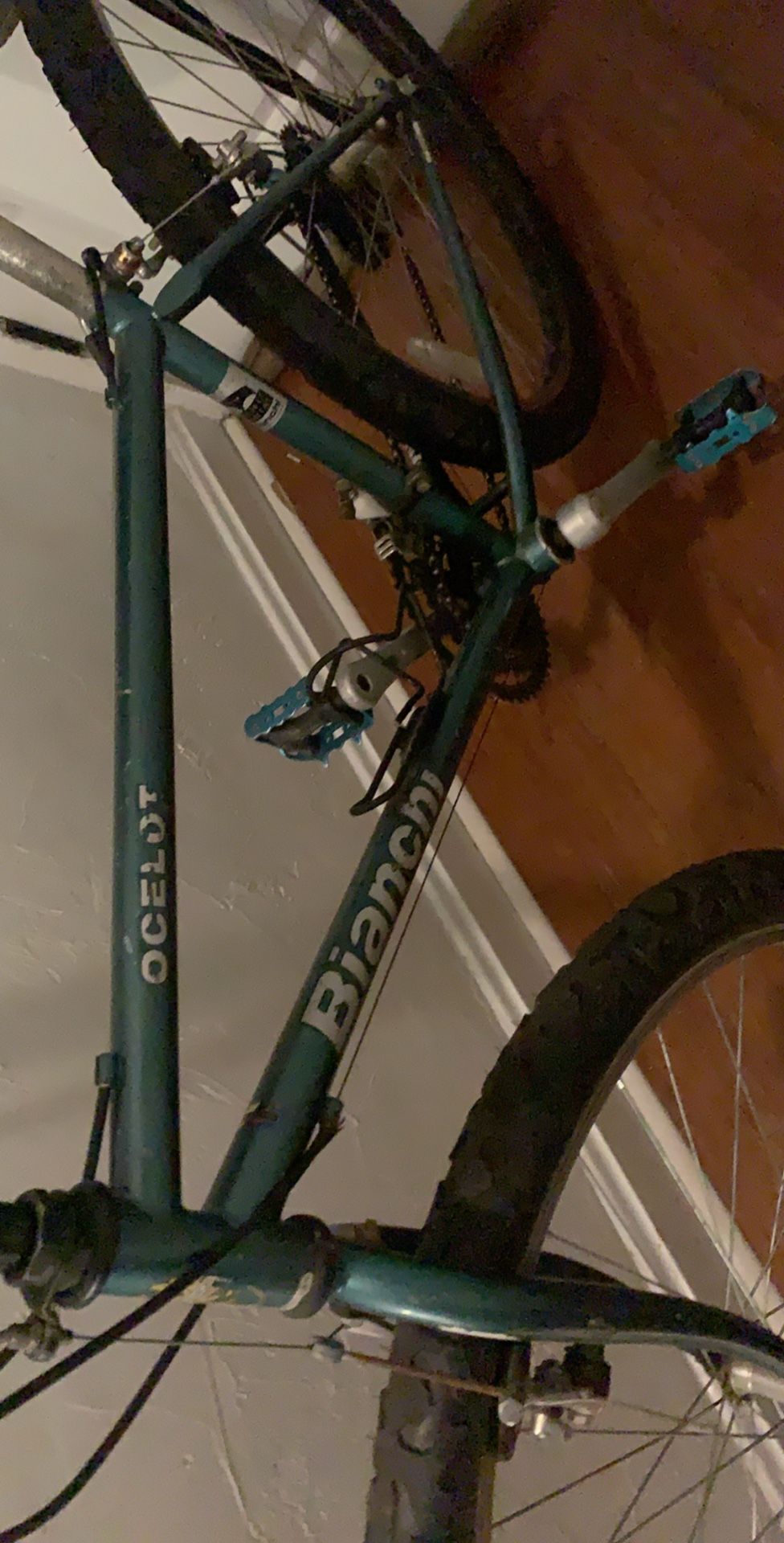Green Bianchi Ocelot
