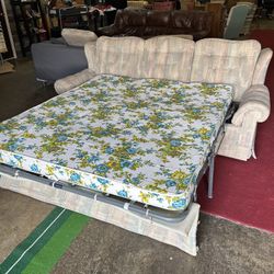 Antique 2024 sleeper sofa