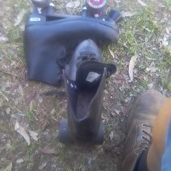 Chicago Skates Men's Size 8