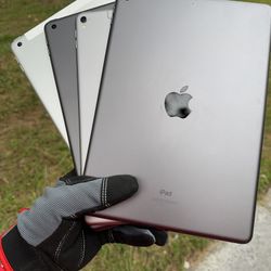 iPads 5 / 6 / 8 / Pro