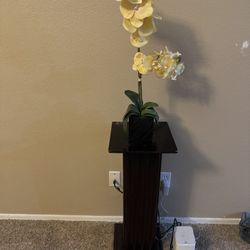 Knickknacks Decorations