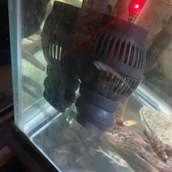 75 Gallon Fish Tank Etc