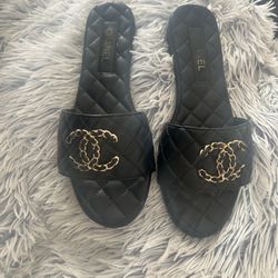 Designers Slip Ons