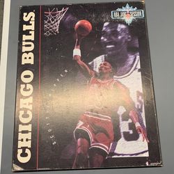 Scottie Pippen 16 X 20 Wall Hanging